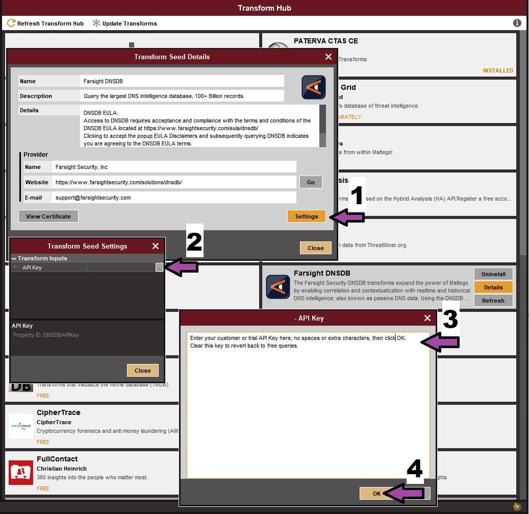 Entering you Farsight DNSDB API Key in settings