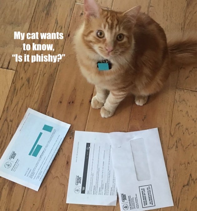 Figure1.jpg My cat wants to know, "Is it phishy?"