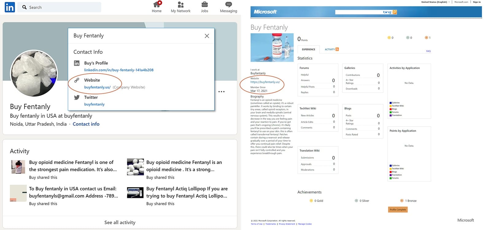Figure10 Website screenshot