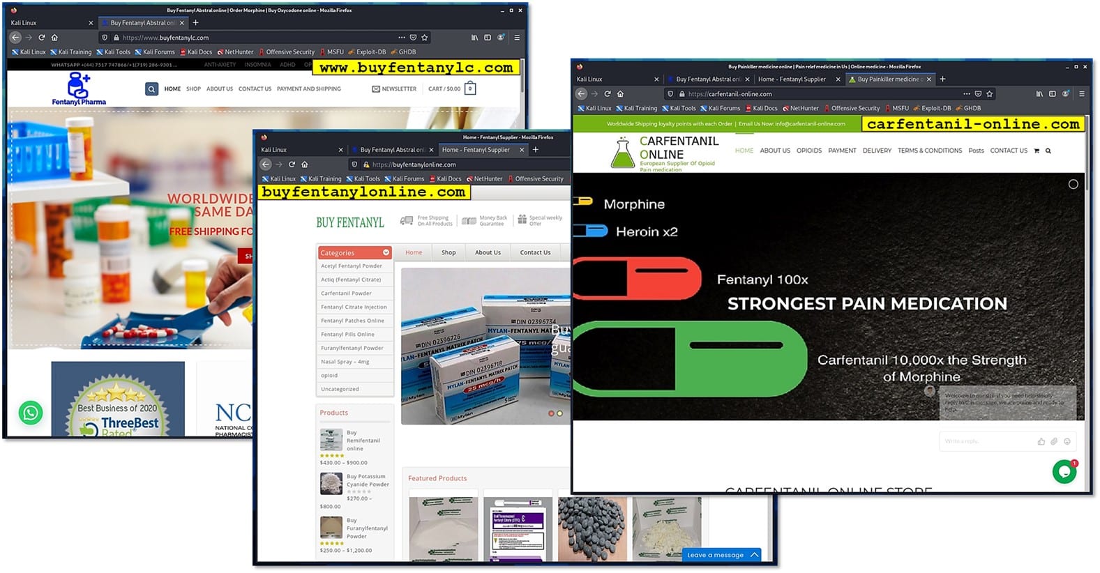 Figure3 Screenshots of somd of the websites found