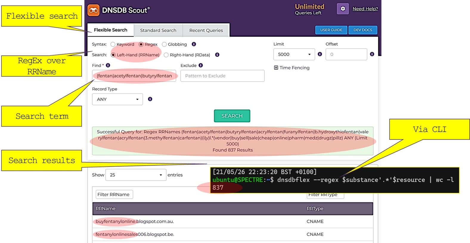 Screenshot of the same Flexible Search in DNSDB Scout