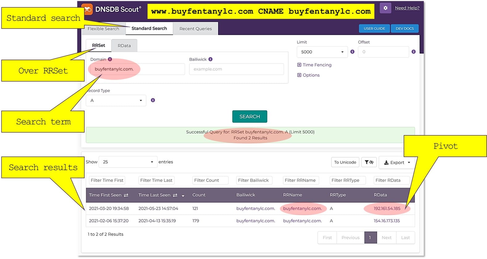 Screenshot of Standard Search in DNSDB Scout