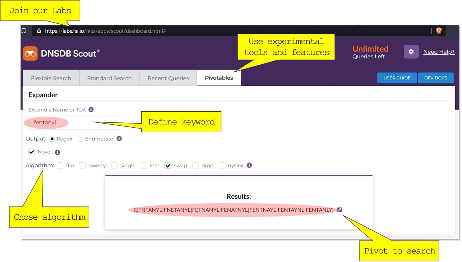 Screenshot of Expander usage in DNSDB Scout