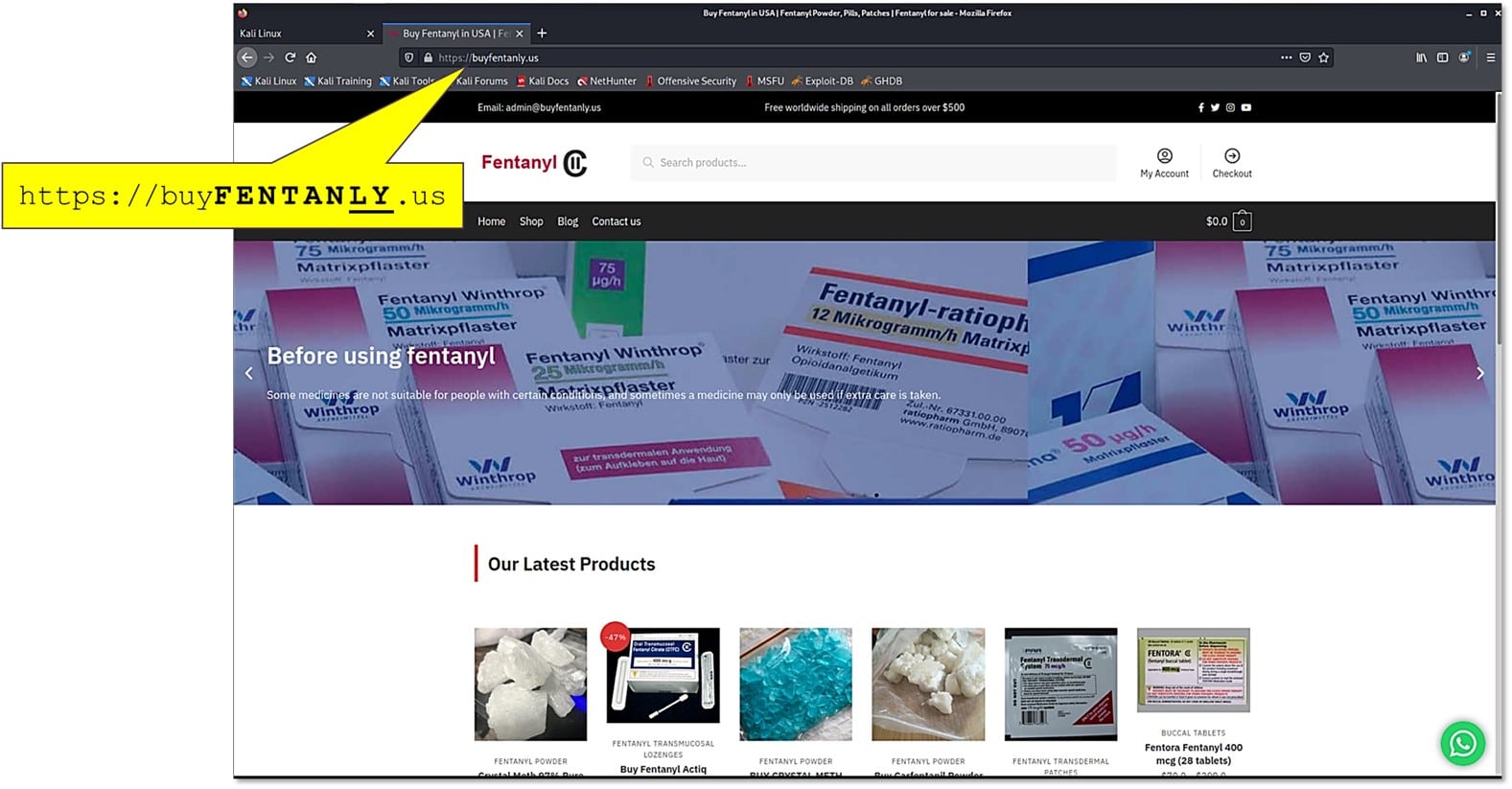 Figure9 Website screenshot