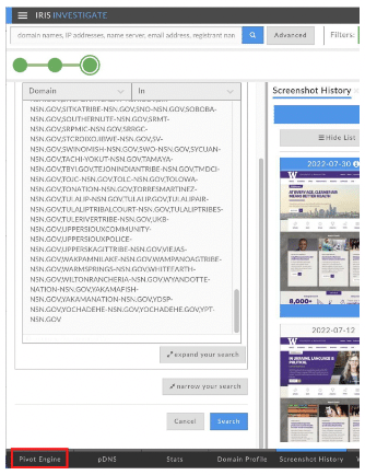 Illustration 7. Selecting the Pivot Engine Panel