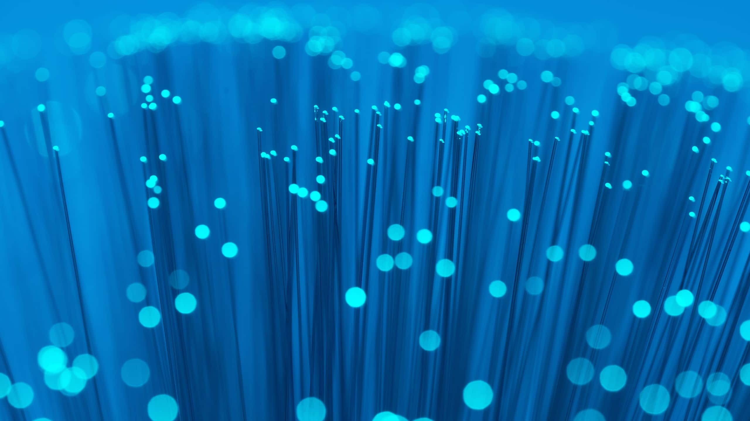 A close-up of numerous glowing blue fiber optic cables illuminated with points of light, representing high-speed data technology, against a dark blue background, ideal for use in a Security Operations Newsletter.