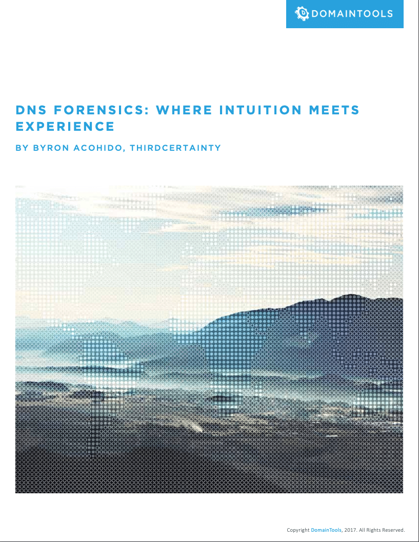DNS forensics wp image