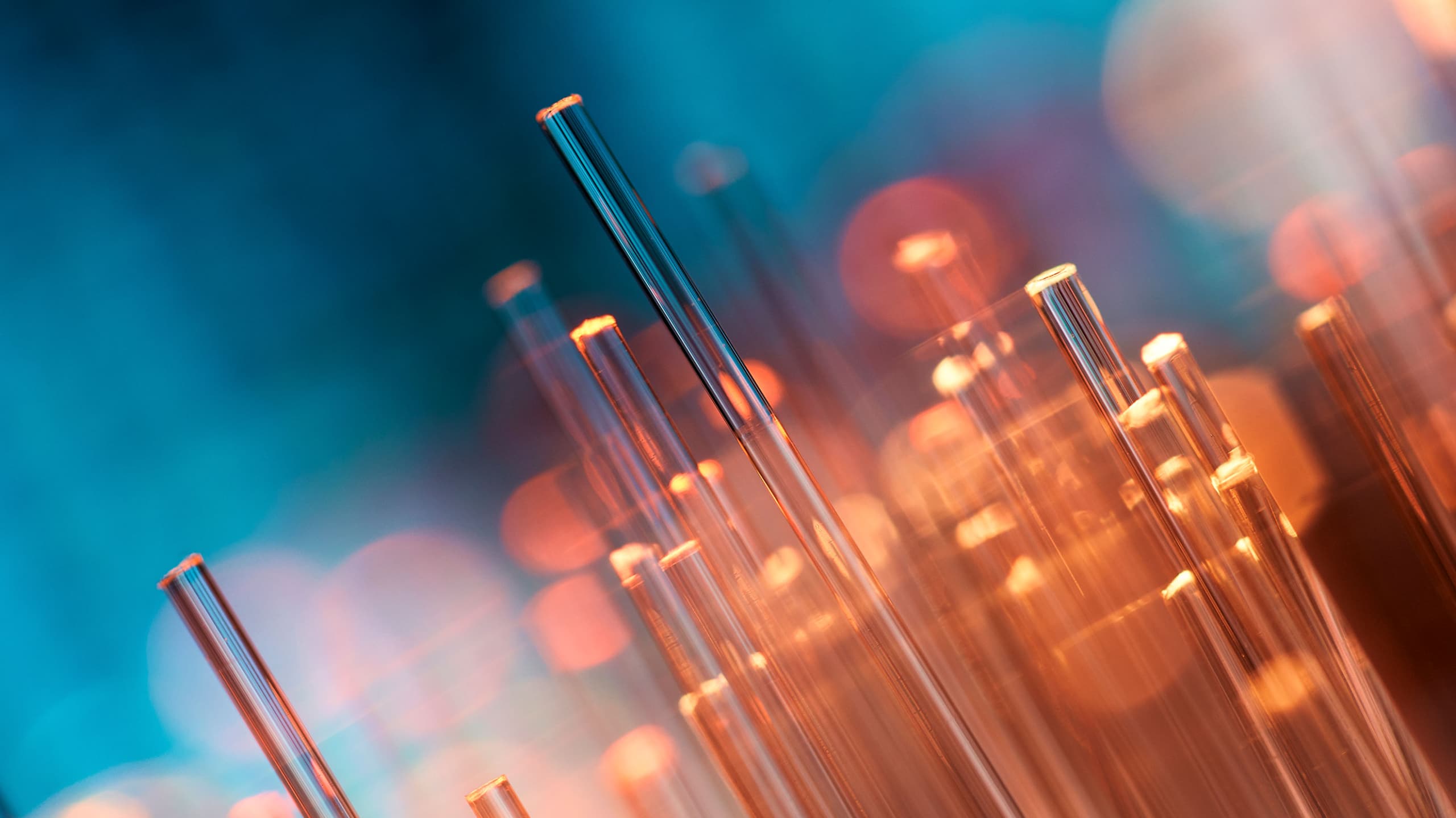 Close-up of optical fibers illuminated with a warm orange-blue light gradient, creating a glowing effect with blurred background DomainTools.