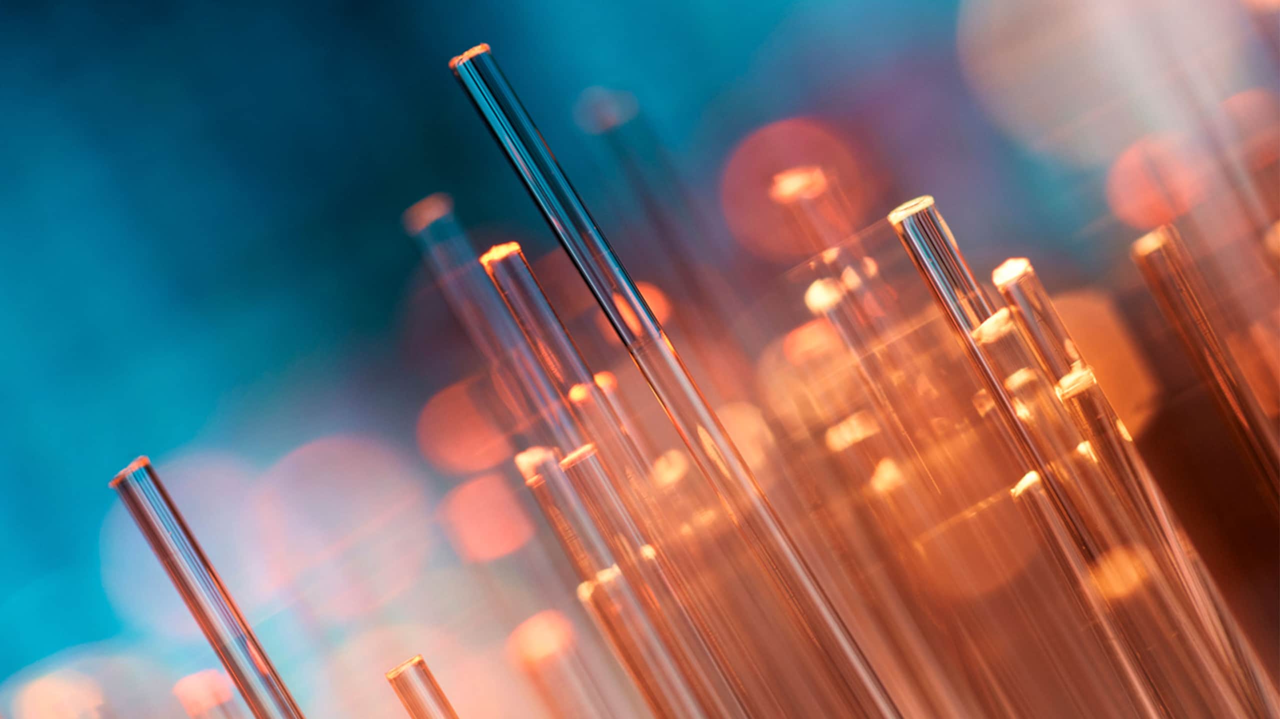 Close-up of optical fibers with illuminated tips against a blurry blue and orange background, showcasing a vibrant bokeh effect and finding new ASNs.