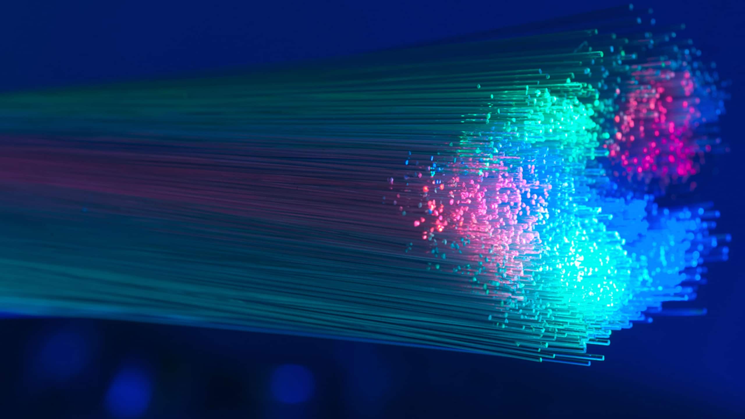 A vibrant close-up view of fiber optic cables illuminated with multicolored lights, displaying a rainbow spectrum that fades into a blurred background, showcasing how to leverage domain and DNS intelligence for OEMs.