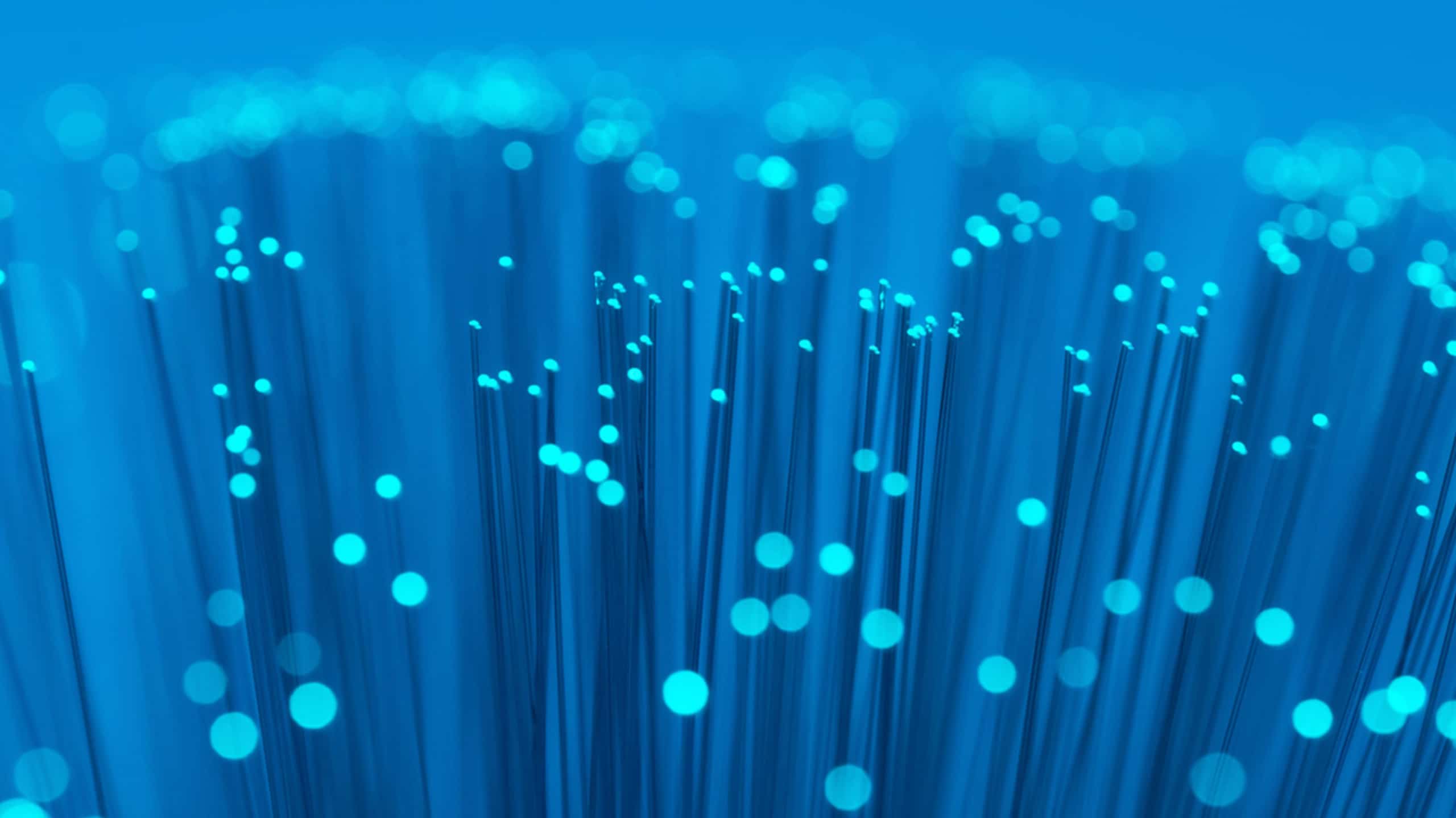A close-up image of numerous fiber optic cables with illuminated blue tips against a deep blue background, symbolizing modern technology and data transmission.