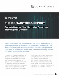 Screenshot of the domaintools report