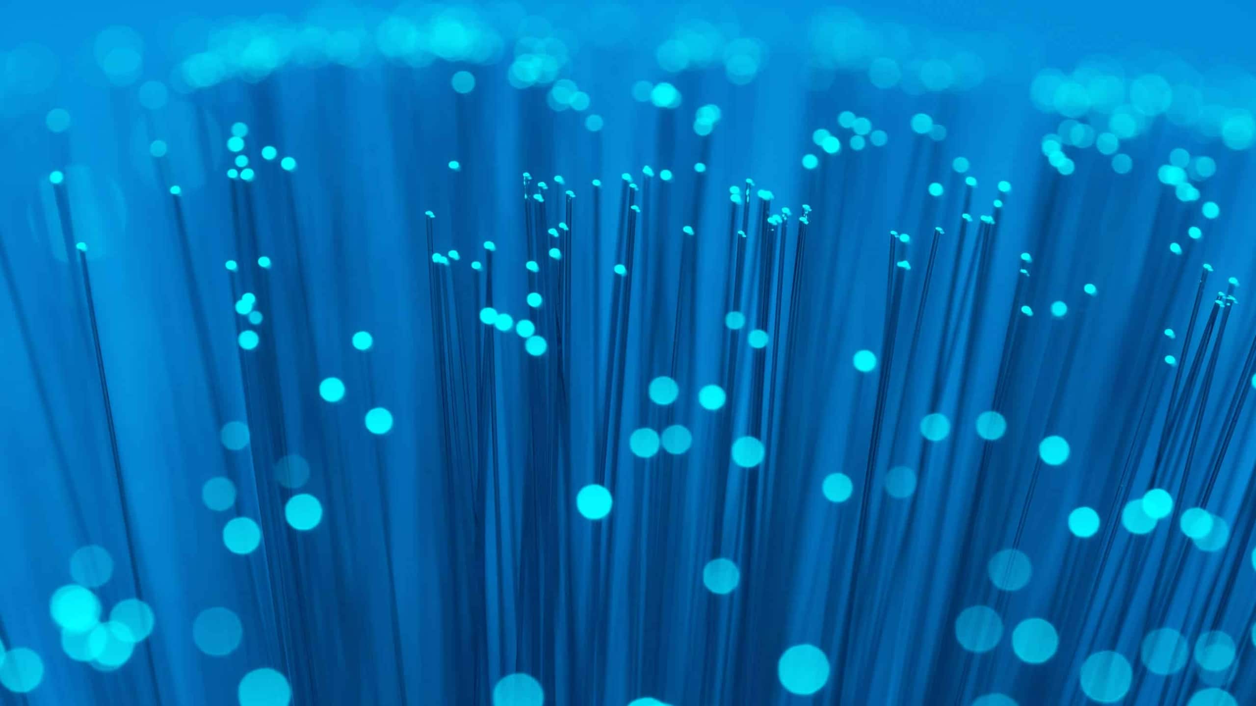 A close-up view of numerous fiber optic cables illuminated in blue, showing glowing tips where light is visible, against a deep blue background.